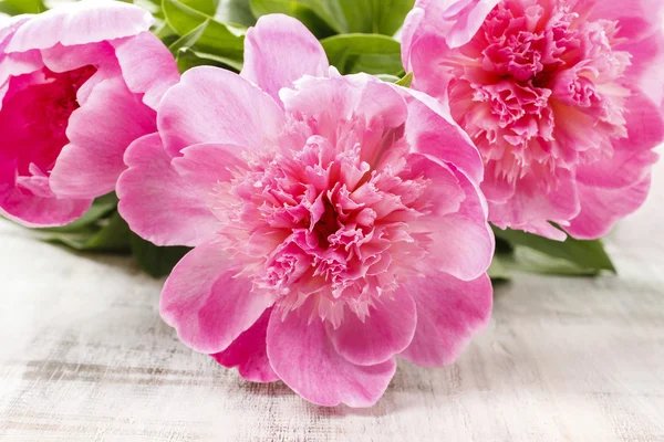 Pivoines roses sur table en bois — Photo