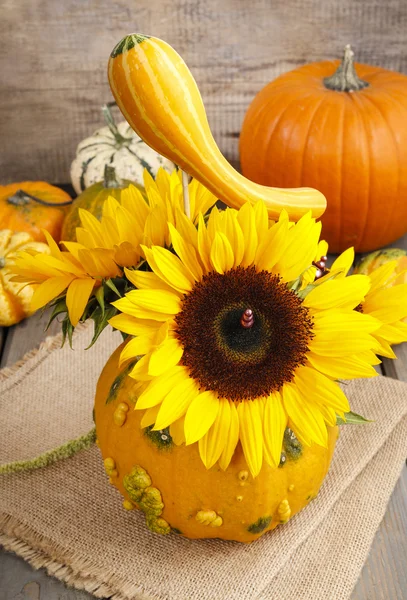 Bouquet of sunflowers in pumpkin — Stock Photo, Image