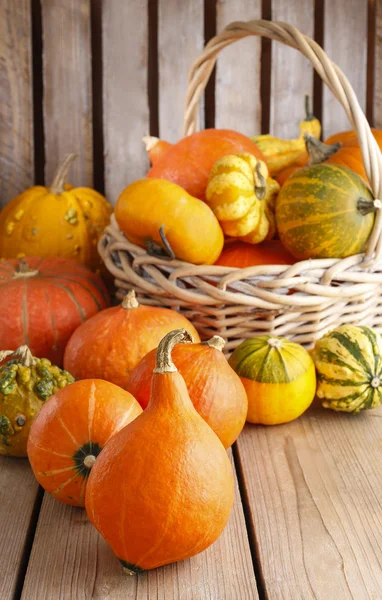 Pumpkins on wooden table — Stock Photo, Image