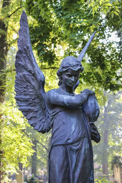 Rakowicki Cemetery, Krakow, Polonya. — Stok fotoğraf