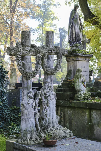 Rakowicki friedhof, krakau, polen. — Stockfoto