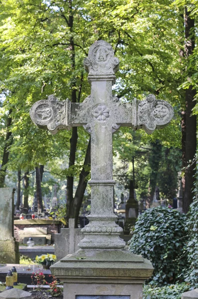 Rakowicki Cemetery, Krakow, Polonya. — Stok fotoğraf