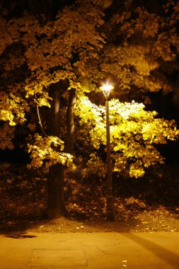 Kazimierz, Krakow, Polonya'nın eski Yahudi Mahallesi