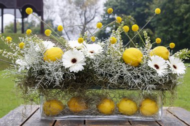 Beyaz gerbera çiçekleri ve limon f modern çiçek aranjmanı