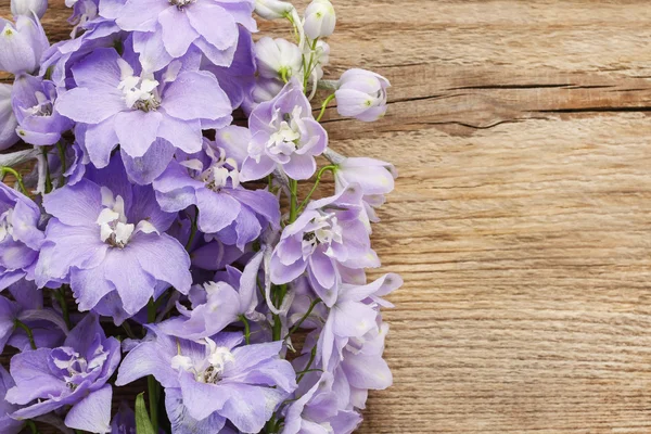 Delphinium çiçekler