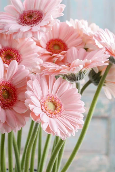 粉色非洲菊雏菊花束 — 图库照片