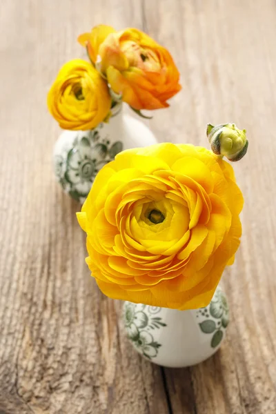 Fleurs de renoncule persan jaune (ranunculus) sur fond de bois — Photo