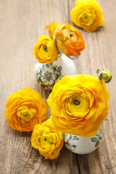 Ahşap backgrou üzerinde sarı Farsça düğün çiçeği çiçek (tipik)