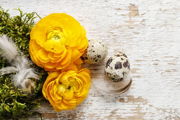 Yellow persian buttercup flowers (ranunculus) on wooden backgrou