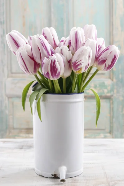 Buquê de tulipas brancas e violetas — Fotografia de Stock