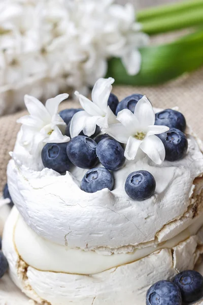 Pavlova cake in winter style — Stock Photo, Image