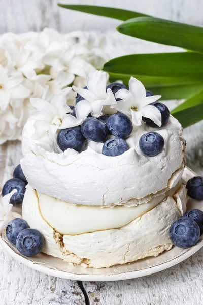 Pavlova cake in winter style — Stock Photo, Image