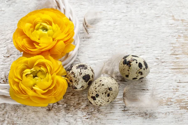 Fleurs de renoncule persan jaune (ranunculus) sur fond de bois — Photo