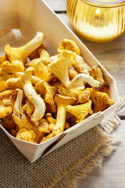 Cantharellus cibarius. Mantar sepeti.