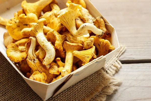 Cantharellus cibarius. Mushrooms in basket. — Stock Photo, Image