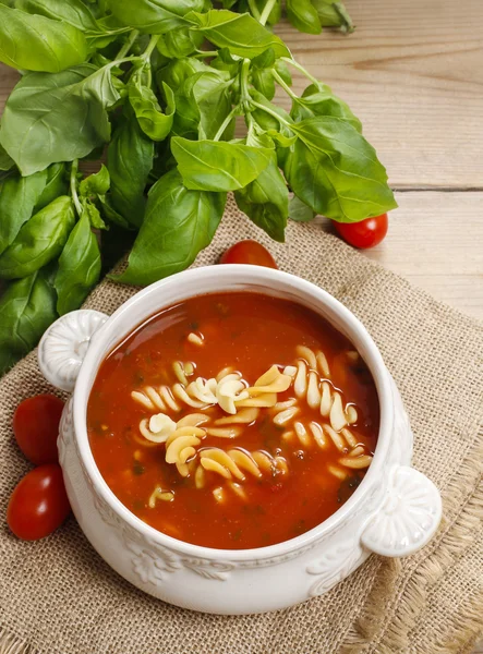 Bowl of tomato soup and basil plant — Stock Photo, Image