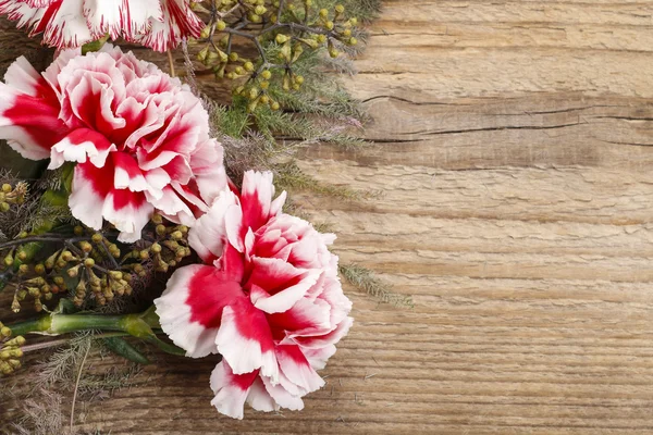 木材に赤と白のカーネーションの花 — ストック写真