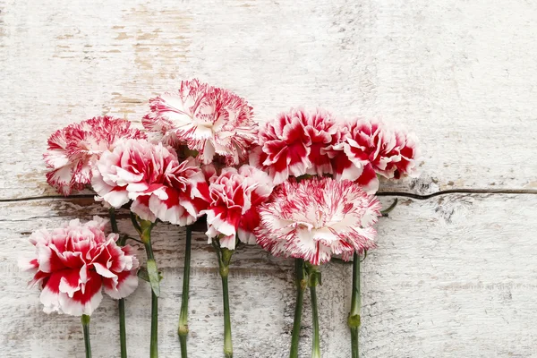 Flores de cravo vermelho e branco em madeira — Fotografia de Stock