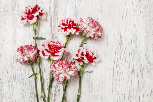 Flores de clavel rojas y blancas sobre madera — Foto de Stock