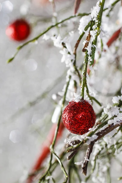 Sfondo natalizio: palline rosse, albero di Natale, neve — Foto Stock