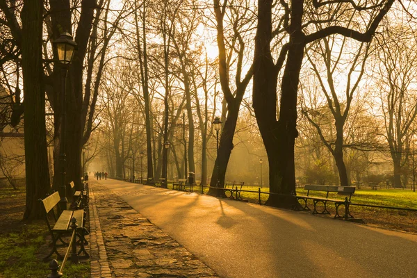 Planty - městský park v Krakově, Polsko. — Stock fotografie