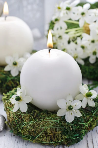 Fresh spring decorations for the First Communion, — Stock Photo, Image