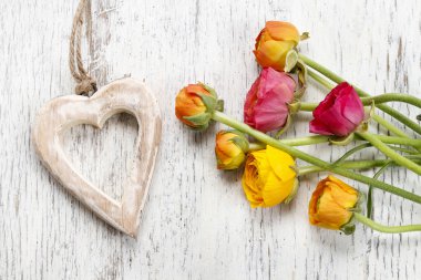 Pembe Beyaz ahşap üzerine Farsça düğün çiçeği çiçek (tipik)