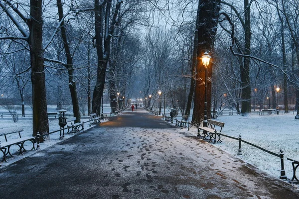 Fabrika - Krakow, Polonya 'daki şehir parkı. — Stok fotoğraf