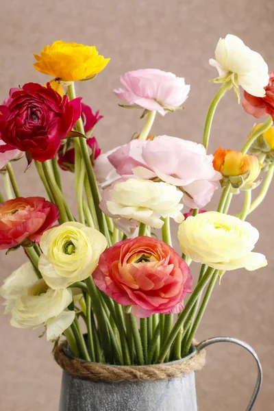 Ramo de coloridas flores de buttercup persas (ranunculus ) —  Fotos de Stock