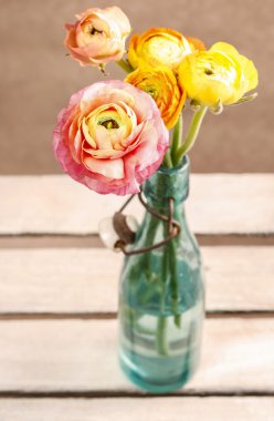 Renkli Farsça düğün çiçeği çiçek (tipik) 