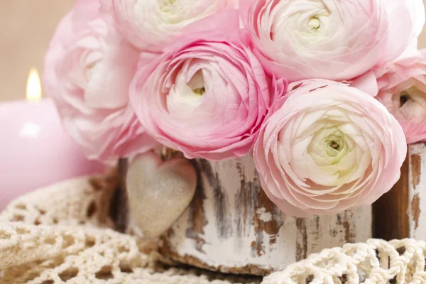 Fiori rosa persiano ranuncolo (ranunculus ) — Foto Stock