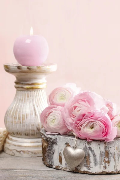 Розовые персидские цветы лютик (ranunculus ) — стоковое фото