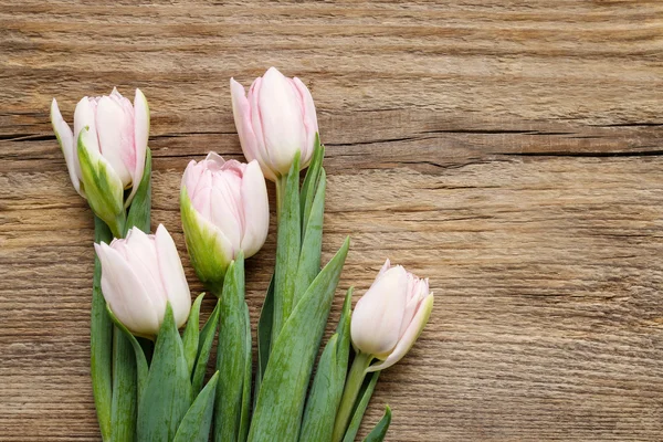 Krásné růžové a bílé tulipány na dřevěné pozadí — Stock fotografie
