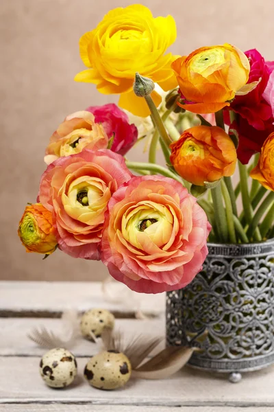 Bouquet of colorful persian buttercup flowers (ranunculus) — Stock Photo, Image