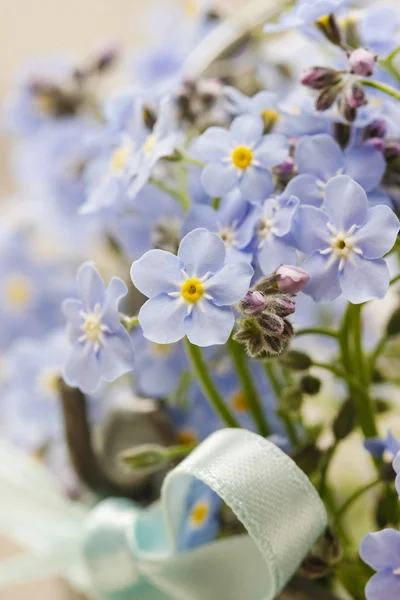 Ramo de flores de olvidarme-no —  Fotos de Stock