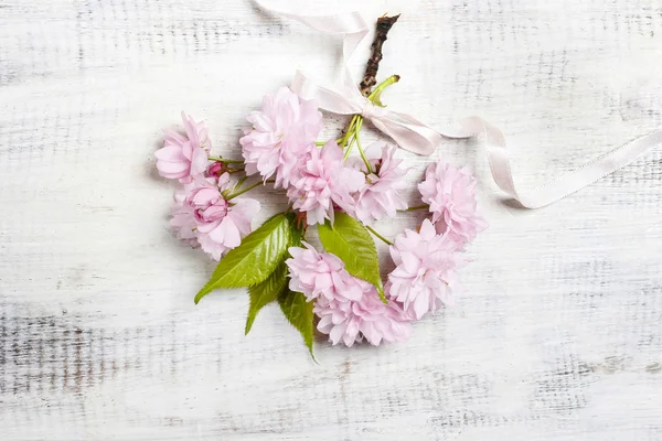 Beautiful flowering almond (prunus triloba) on wood — Stock Photo, Image