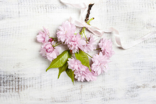 Beautiful flowering almond (prunus triloba) on wood