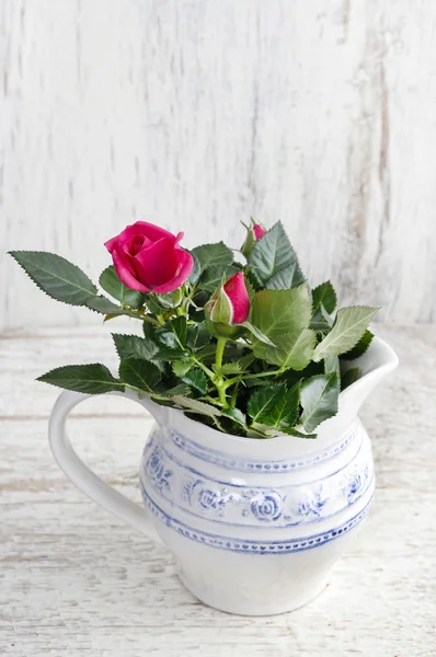 Bela rosa em vaso de cerâmica rústica — Fotografia de Stock