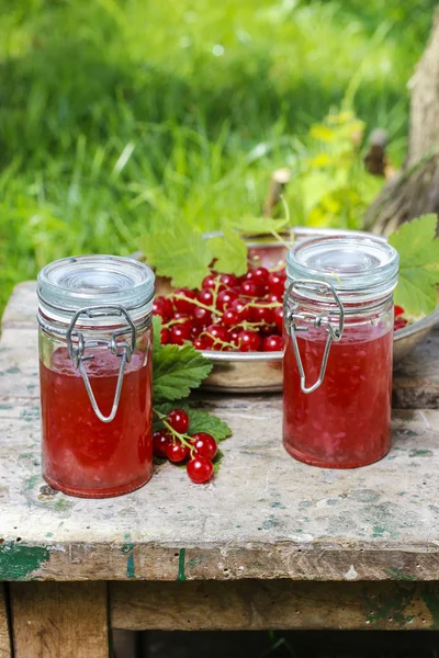 Red currant jelly in preserving glass — Stock Photo, Image