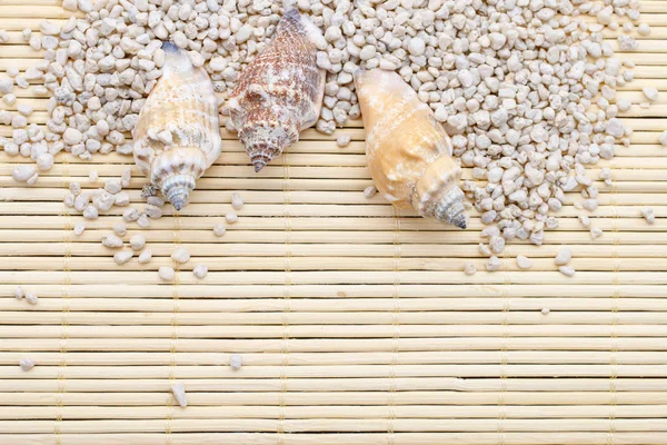 Seashells and sand, background, — Zdjęcie stockowe