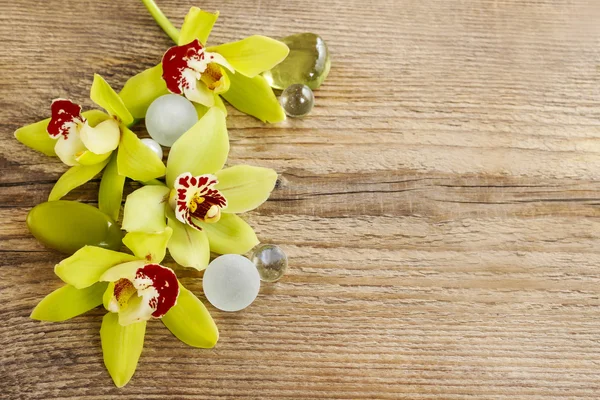 Hermosas flores de orquídea amarilla en madera —  Fotos de Stock