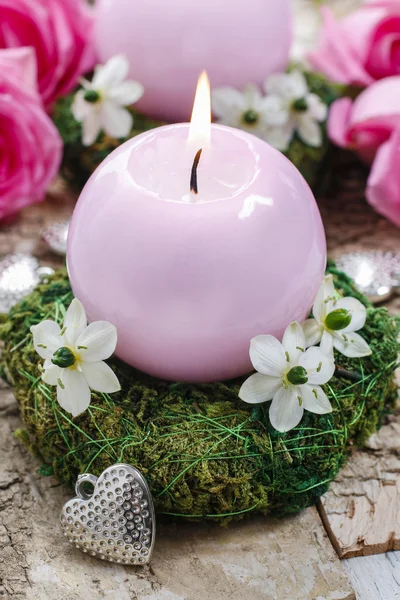 Candle holder made of moss, decorated with arabian star flowers — Stock Photo, Image