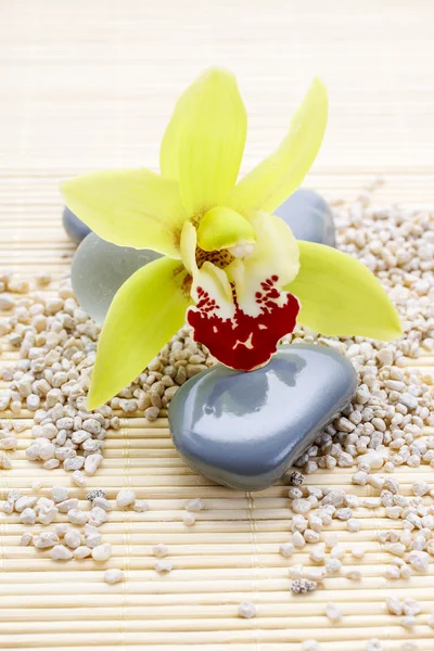 Símbolos de spa: piedras zen y flor de orquídea —  Fotos de Stock