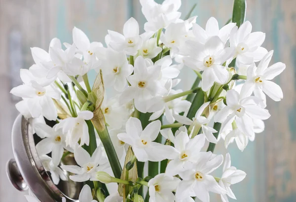 Bílý Narcis kytice — Stock fotografie