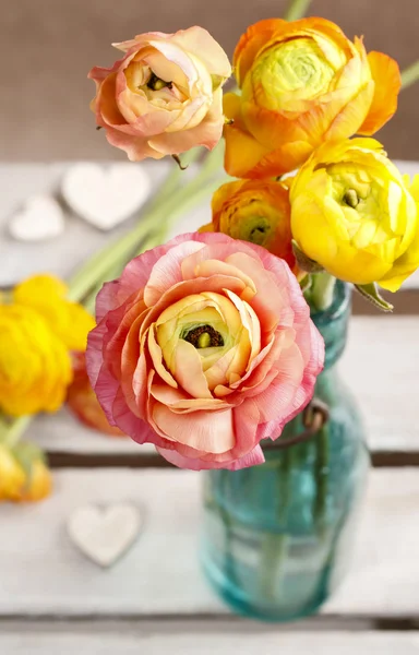 Färgglada Persiska buttercup blommor (ranunculus) — Stockfoto