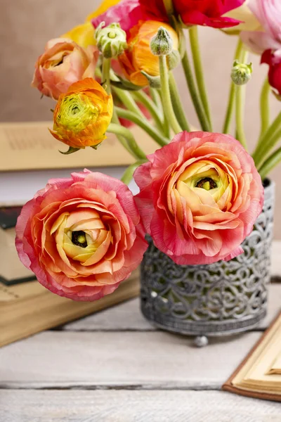 Färgglada Persiska buttercup blommor (ranunculus) — Stockfoto