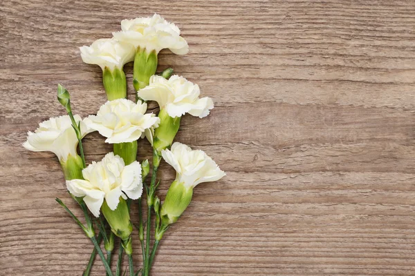 Carnation flowers on wooden background — Stock Photo, Image