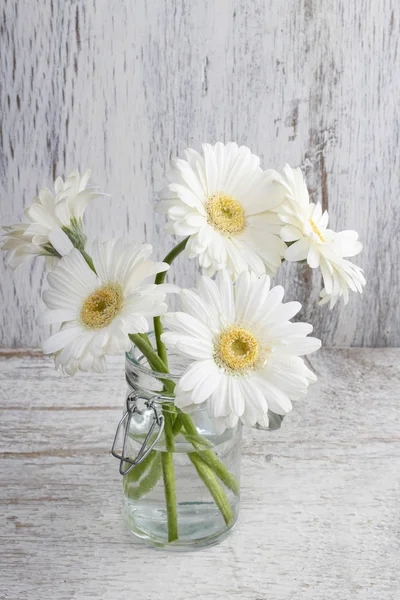 Strauß weißer Gerbera-Blumen auf Holz — Stockfoto