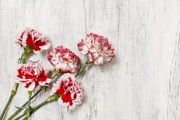 Red and white carnation flowers on wood — Stock Photo, Image