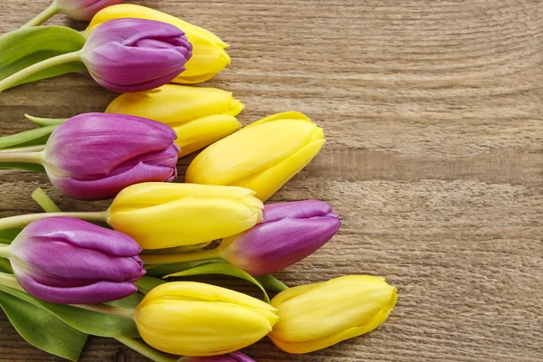 Gelbe und violette Tulpen — Stockfoto